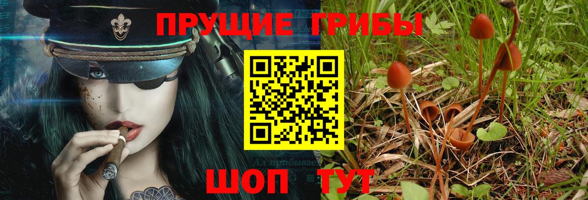 Псилоцибиновые грибы мицелий  Вход с VPN  Асбест 